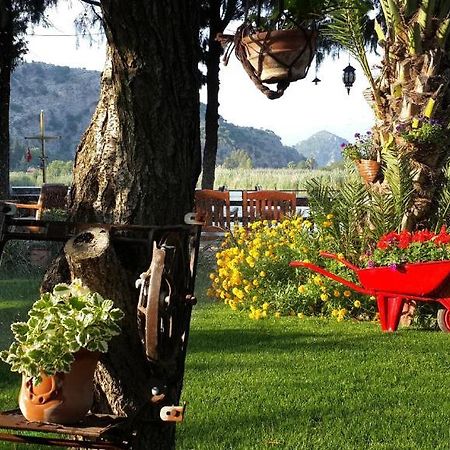 Hotel Happy Caretta Dalyan Luaran gambar