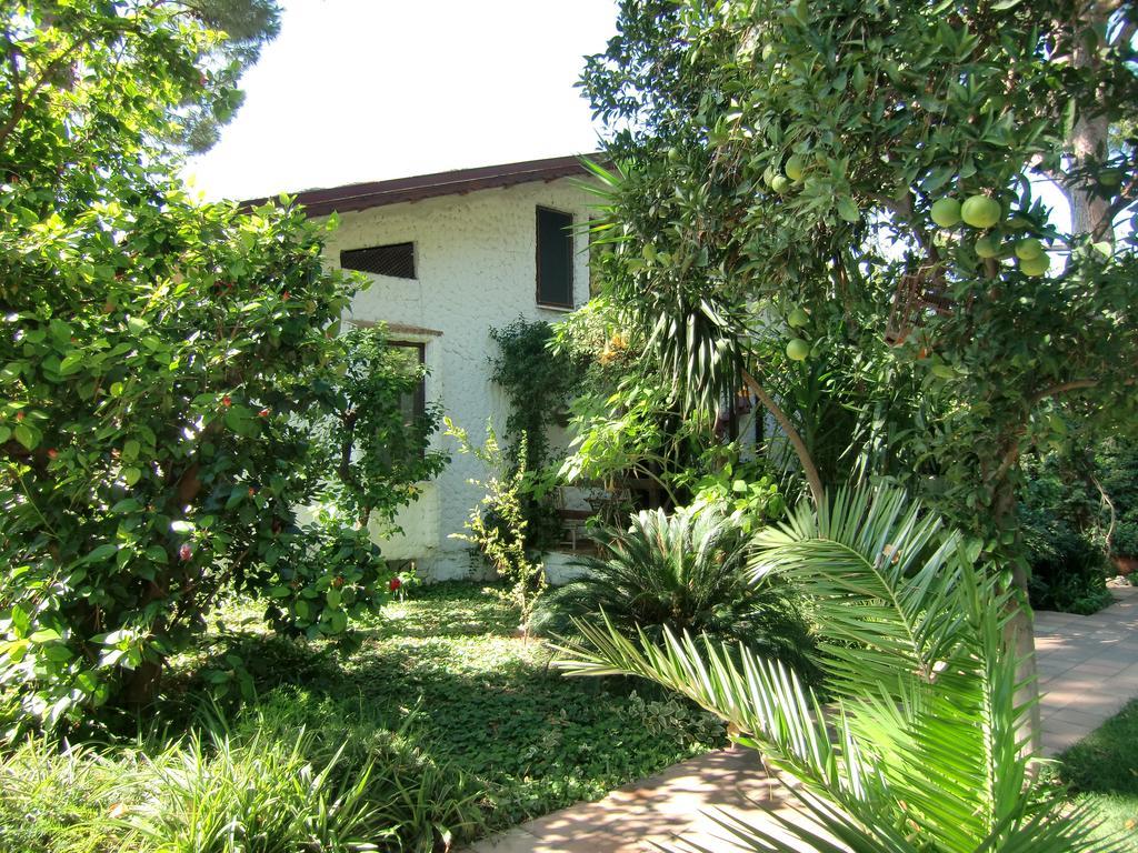 Hotel Happy Caretta Dalyan Luaran gambar