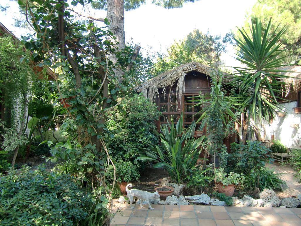 Hotel Happy Caretta Dalyan Luaran gambar